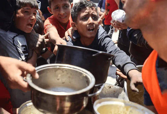 Fresh Meal Service – $50